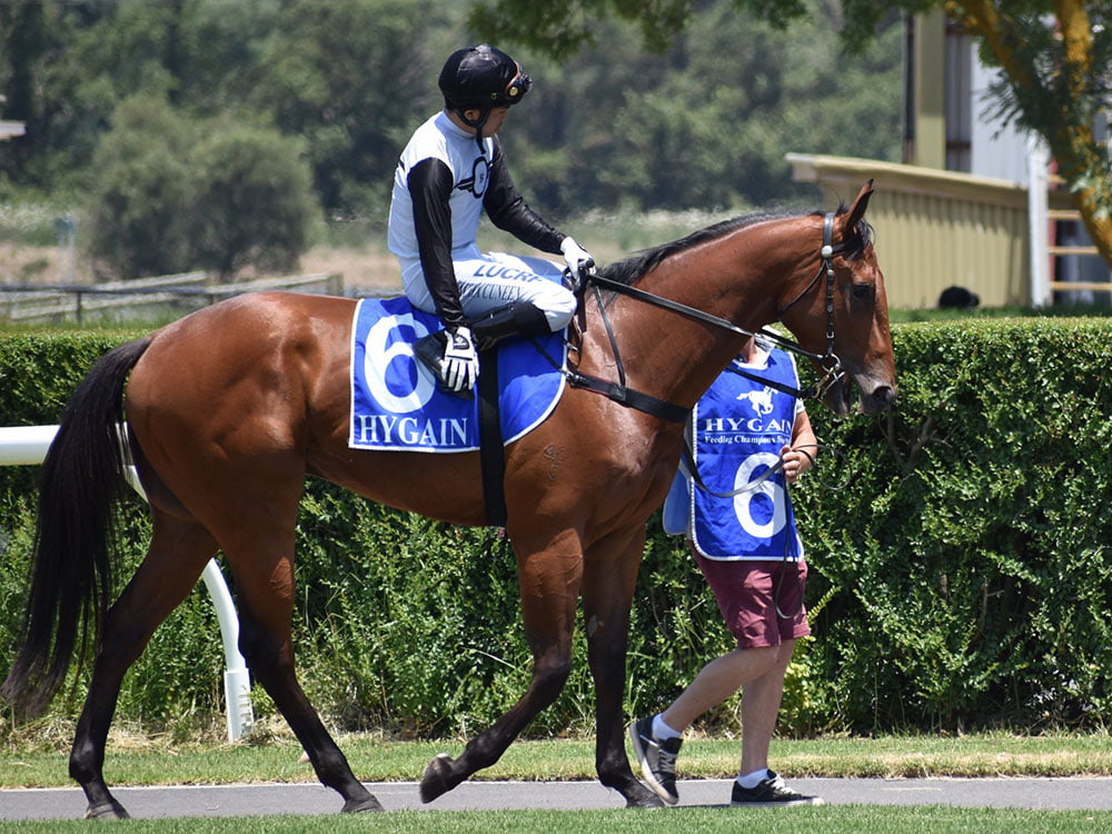 Jockey on horse in mounting yard