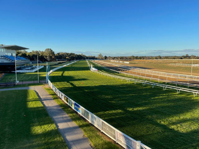 Grass horse racetrack